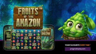 Fruits of The Amazon